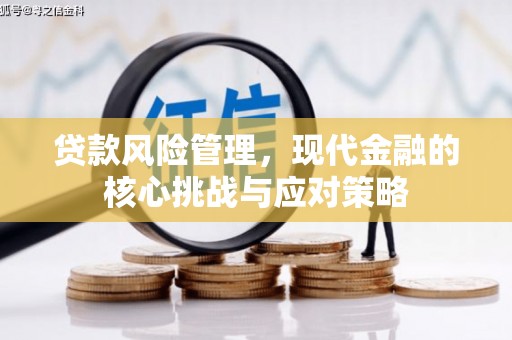 安源贷款风险管理，现代金融的核心挑战与应对策略