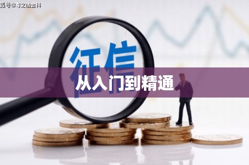 芦竹从入门到精通