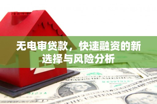 三亚无电审贷款，快速融资的新选择与风险分析