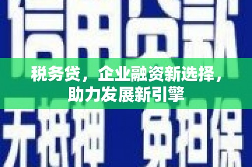 苏澳税务贷，企业融资新选择，助力发展新引擎