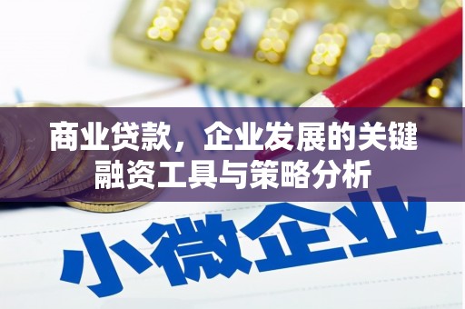 灌南商业贷款，企业发展的关键融资工具与策略分析