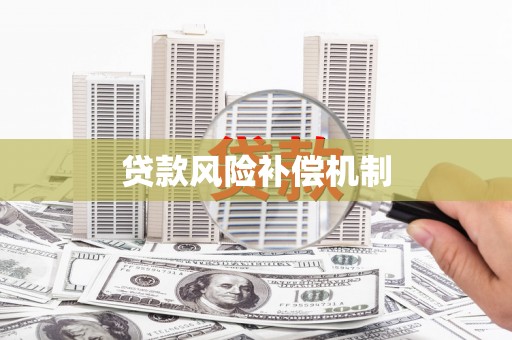天河贷款风险补偿机制