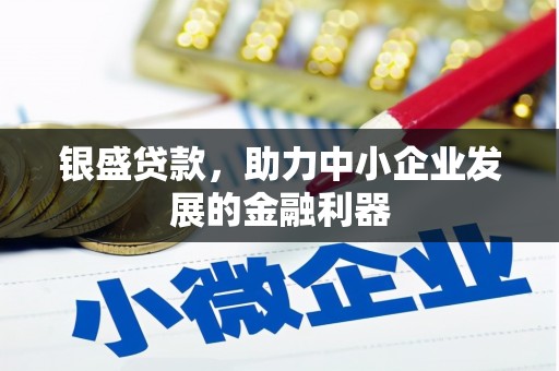 玛家银盛贷款，助力中小企业发展的金融利器