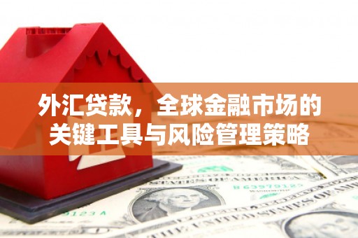 嘉模堂区外汇贷款，全球金融市场的关键工具与风险管理策略