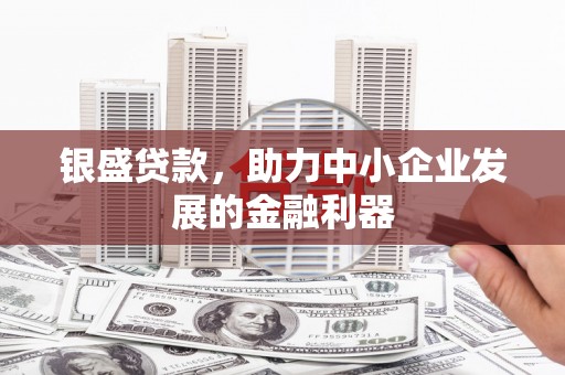 五家渠银盛贷款，助力中小企业发展的金融利器