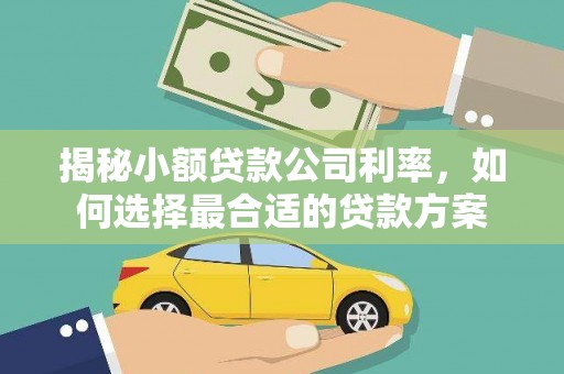 睢宁揭秘小额贷款公司利率，如何选择最合适的贷款方案