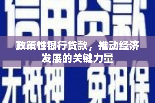 白河政策性银行贷款，推动经济发展的关键力量
