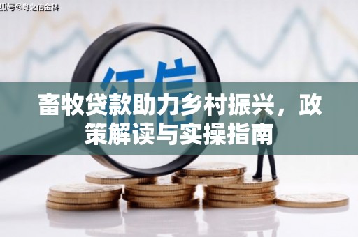 城关畜牧贷款助力乡村振兴，政策解读与实操指南