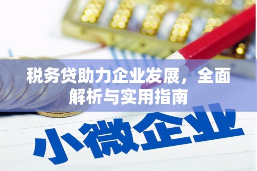 荃湾税务贷助力企业发展，全面解析与实用指南