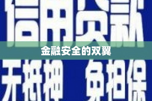 周至金融安全的双翼
