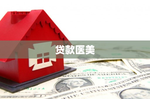 理县贷款医美