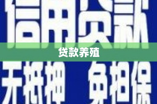 深坑贷款养殖