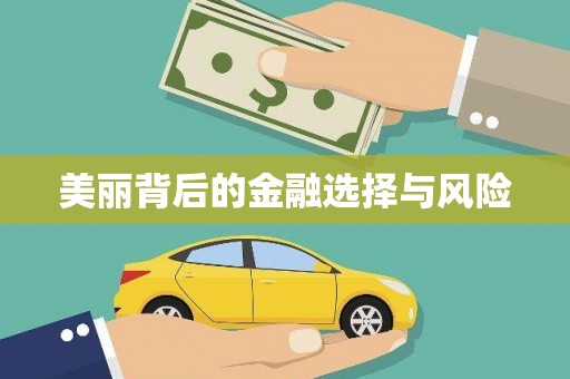 宁夏美丽背后的金融选择与风险