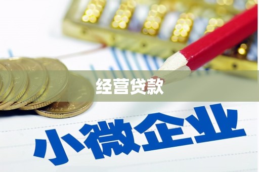 金溪经营贷款