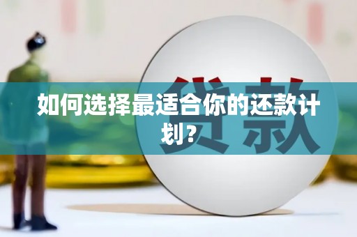 黟县如何选择最适合你的还款计划？