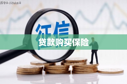 太平贷款购买保险