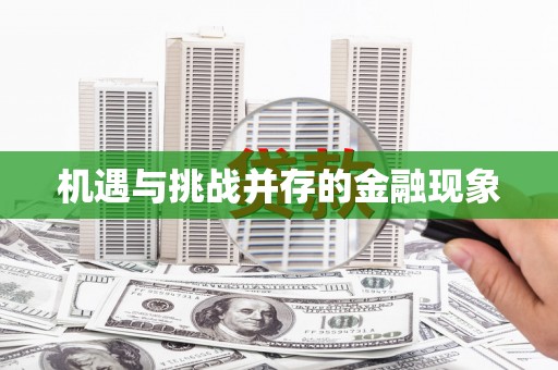 陆良机遇与挑战并存的金融现象
